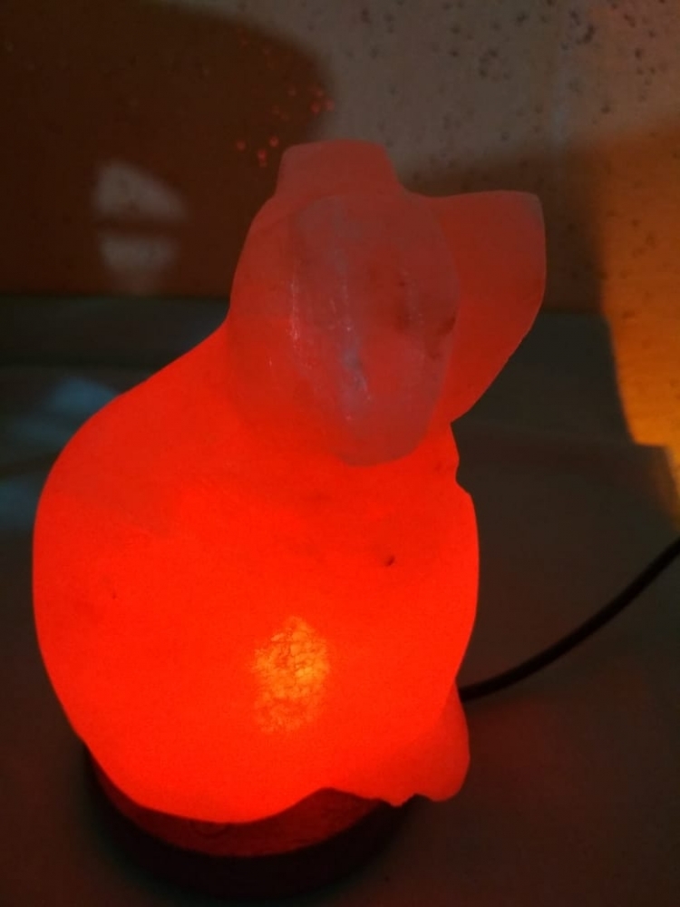 Salt Lamp